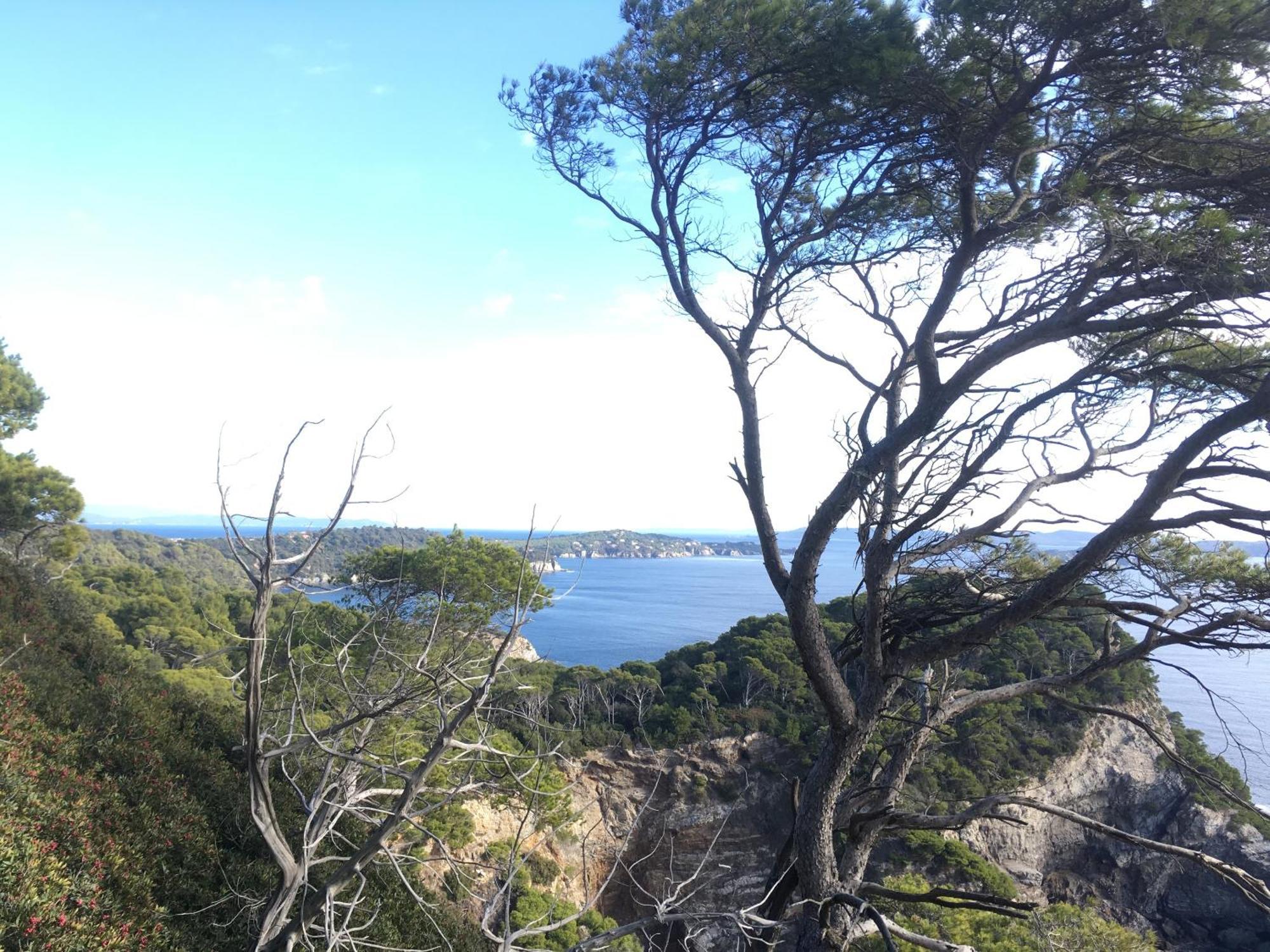Willa L Annexe Des Sables Hyères Zewnętrze zdjęcie